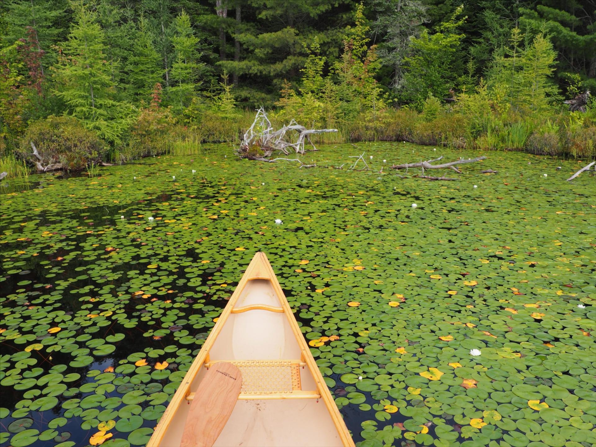 Darren in a solo canoe