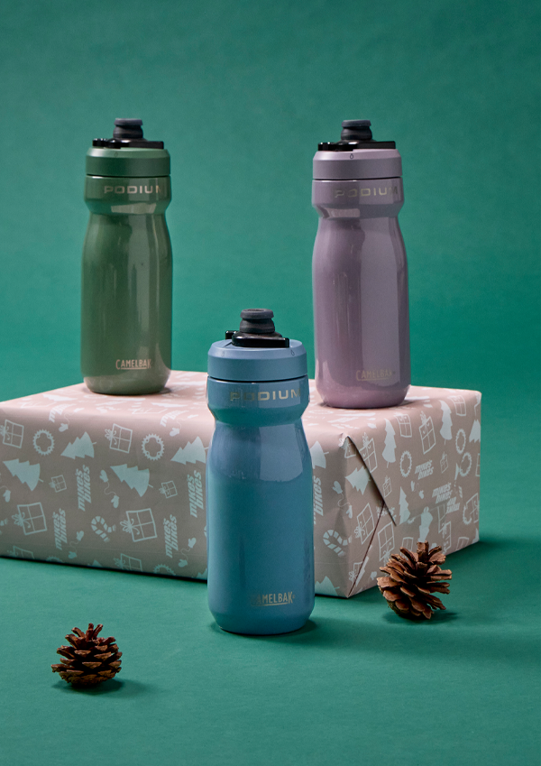 Camelbal Podium Steel Water Bottle